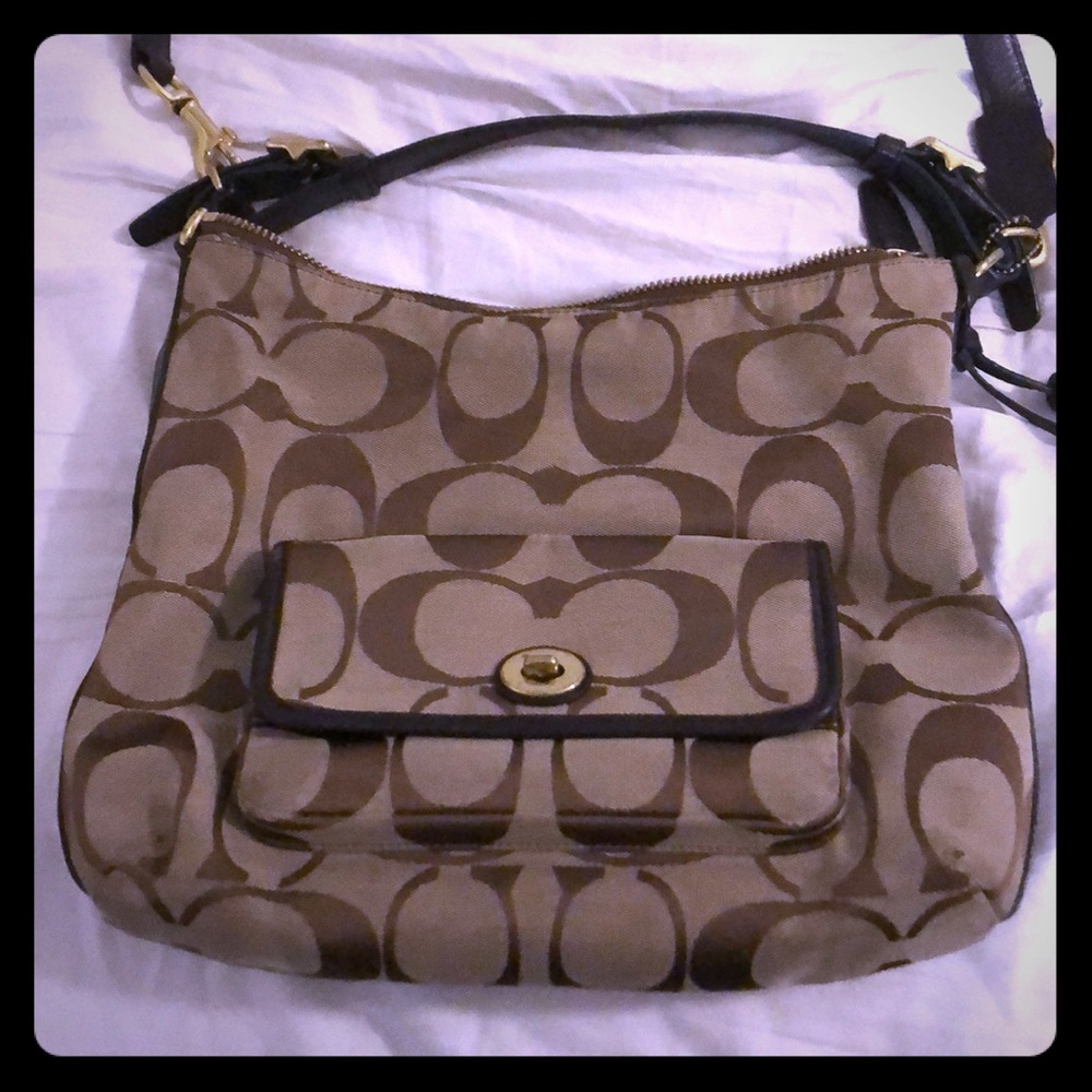 Brown Coach Bag (well loves)